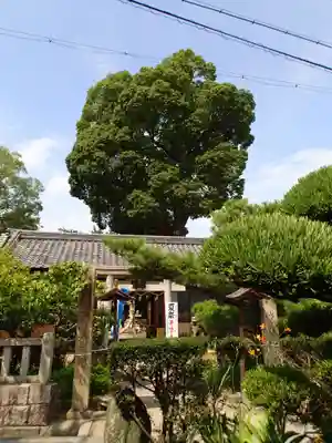 津秦天満宮のその他建物