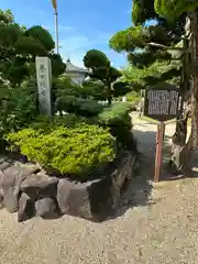 誉田八幡宮(大阪府)