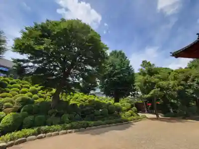 根津神社のその他建物