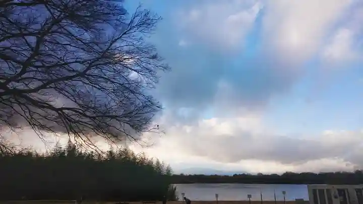 若宮神明社の自然