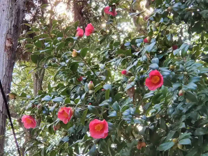 備後天満神社の自然