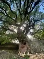 與止日女神社(佐賀県)