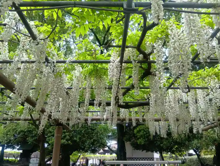 曼陀羅寺(愛知県)