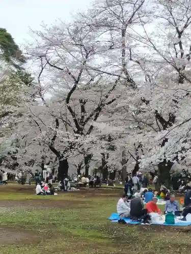 武蔵一宮氷川神社(埼玉県)