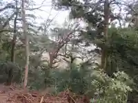 厳魂神社(金刀比羅宮奥社)(香川県)