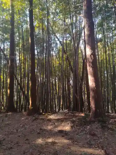 深山神社（花島）(宮城県)
