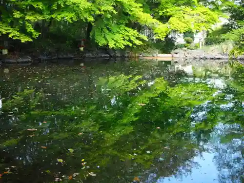 富士山本宮浅間大社の庭園