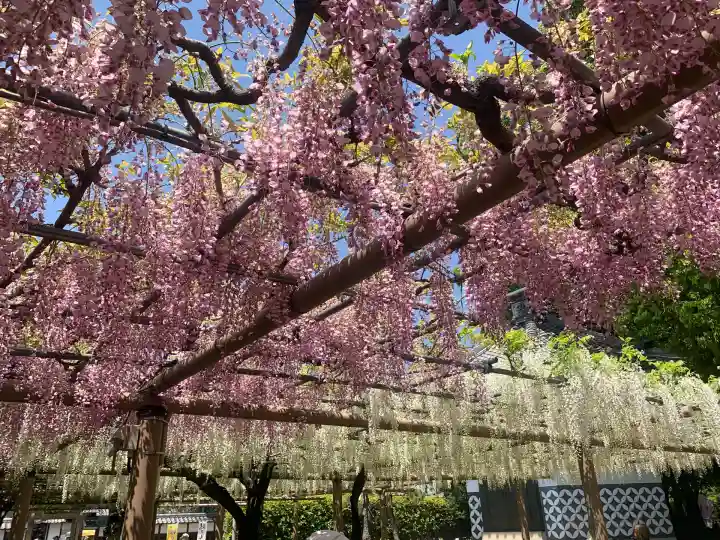 曼陀羅寺の庭園