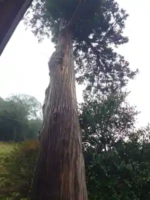 須我神社(島根県)