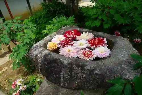 岡寺（龍蓋寺）の庭園