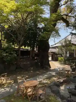 釋迦院(愛知県)