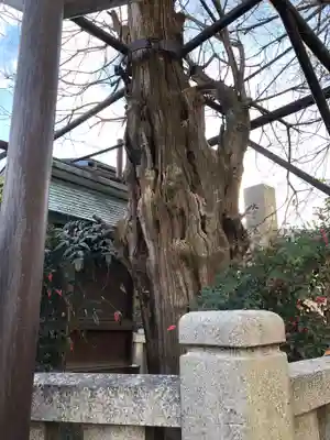 大宮姫命稲荷大神の自然