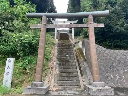 白山神社の鳥居