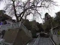 毛谷黒龍神社(福井県)