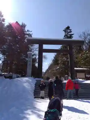 北海道神宮の鳥居