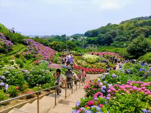 補陀寺の周辺