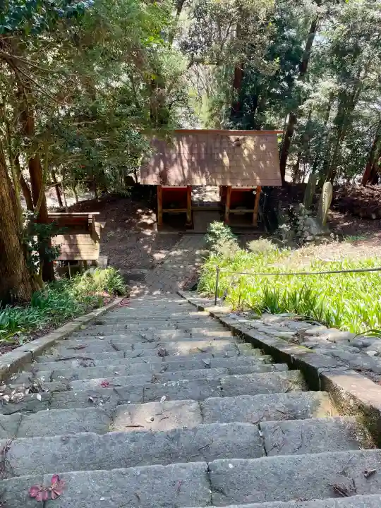 與瀬神社(与瀬神社)の{uncategorized: "未分類", other: "その他", undefined: "問題あり", building: "その他建物", grave: "お墓", sacred_gate: "鳥居", guardian: "狛犬", statue: "像", buddha: "仏像", history: "歴史", nature: "自然", garden: "庭園", animal: "動物", pagoda: "塔", temizu: "手水舎", mountain_gate: "山門・神門", sanctuary: "本殿・本堂", subordinate: "末社・摂社", art: "芸術", scenery: "景色", jizo: "地蔵", ema: "絵馬", goshuin: "御朱印", omikuji: "おみくじ", items: "授与品その他", amulet: "お守り", goshuincho: "御朱印帳", eats: "食事", festival: "お祭り", votive_dance: "神楽", shichigosan: "七五三参", wedding: "結婚式", experience: "体験その他", initially: "初詣", around: "周辺", anti_infection: "感染症対策"}
