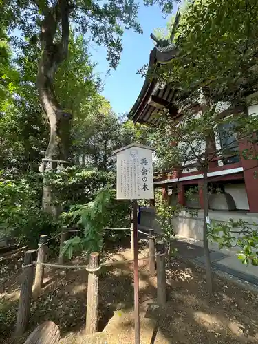 川越八幡宮(埼玉県)