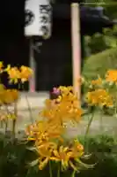 横浜 西方寺(神奈川県)