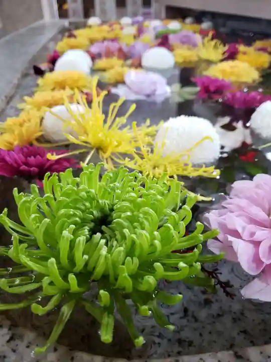 神明氷川神社(東京都)