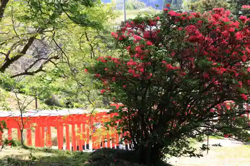 高屋敷稲荷神社の庭園