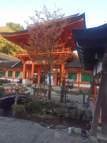 賀茂別雷神社（上賀茂神社）(京都府)