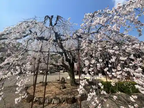 道成寺(和歌山県)