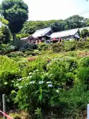 大聖寺の庭園