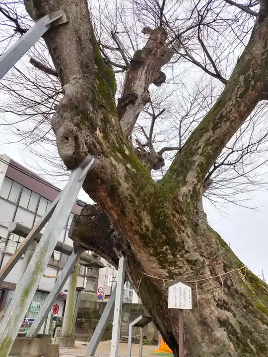 水海道諏訪神社(茨城県)