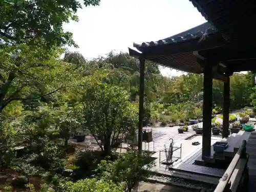 法金剛院の庭園