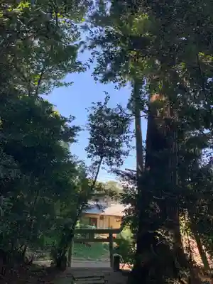 稲荷神社(千葉県)