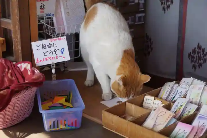 前玉神社の動物