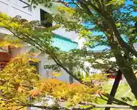 寿量山 速成寺の自然