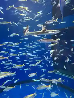 大洗磯前神社(茨城県)