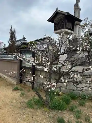 長尾寺(香川県)