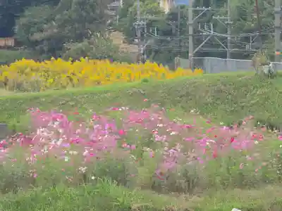安楽寺(大阪府)