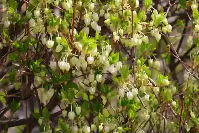 大鏑神社の庭園