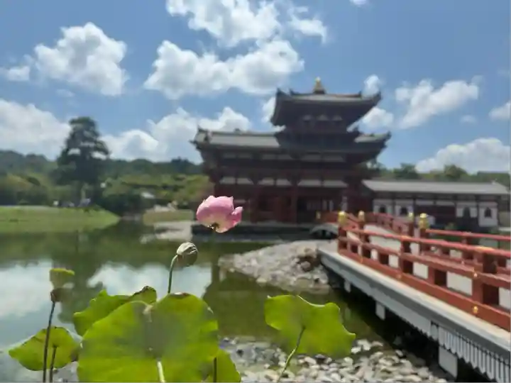 平等院(京都府)