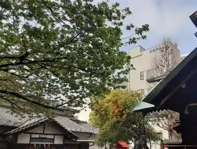 蔵前神社(東京都)