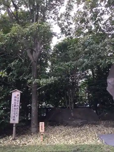 寒川神社の自然