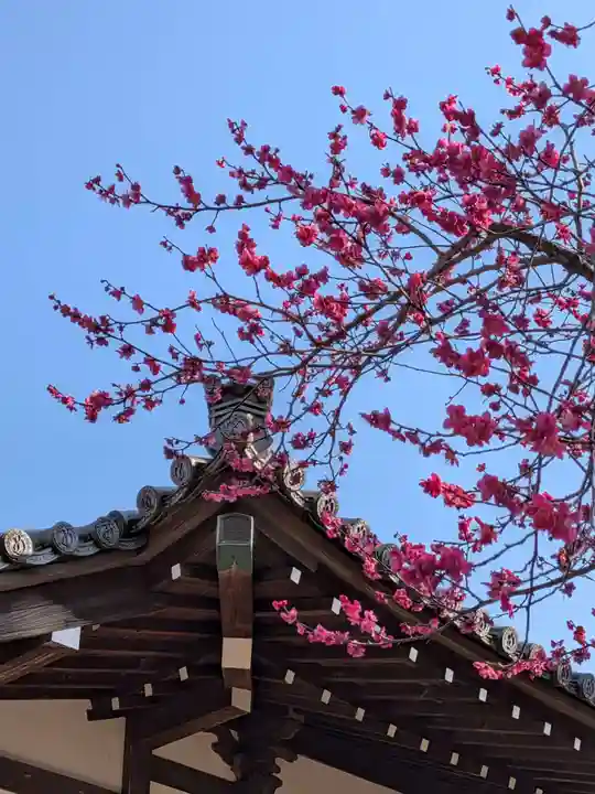 妙法寺(東京都)