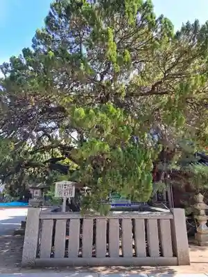 高砂神社(兵庫県)