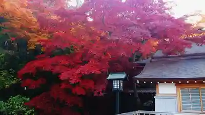 高幡不動尊　金剛寺の御朱印