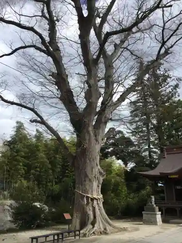 素鵞神社の自然