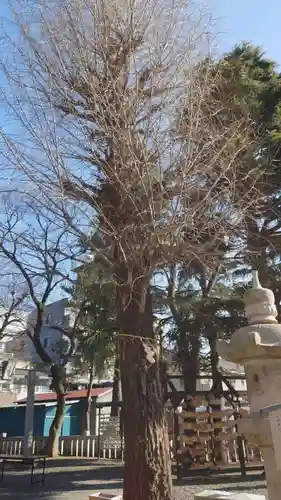 草加神社の自然
