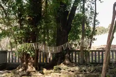 山宮浅間神社(静岡県)