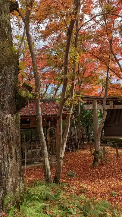 蓮華寺(洛北蓮華寺)(京都府)