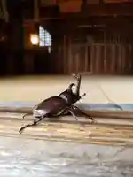 伏木香取神社の動物