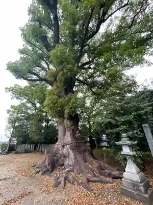 高良神社(香川県)