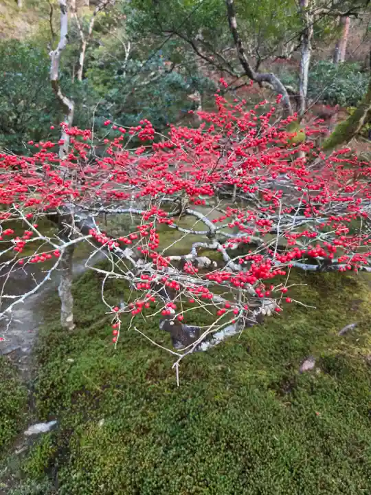慈照寺(慈照禅寺・銀閣寺)(京都府)